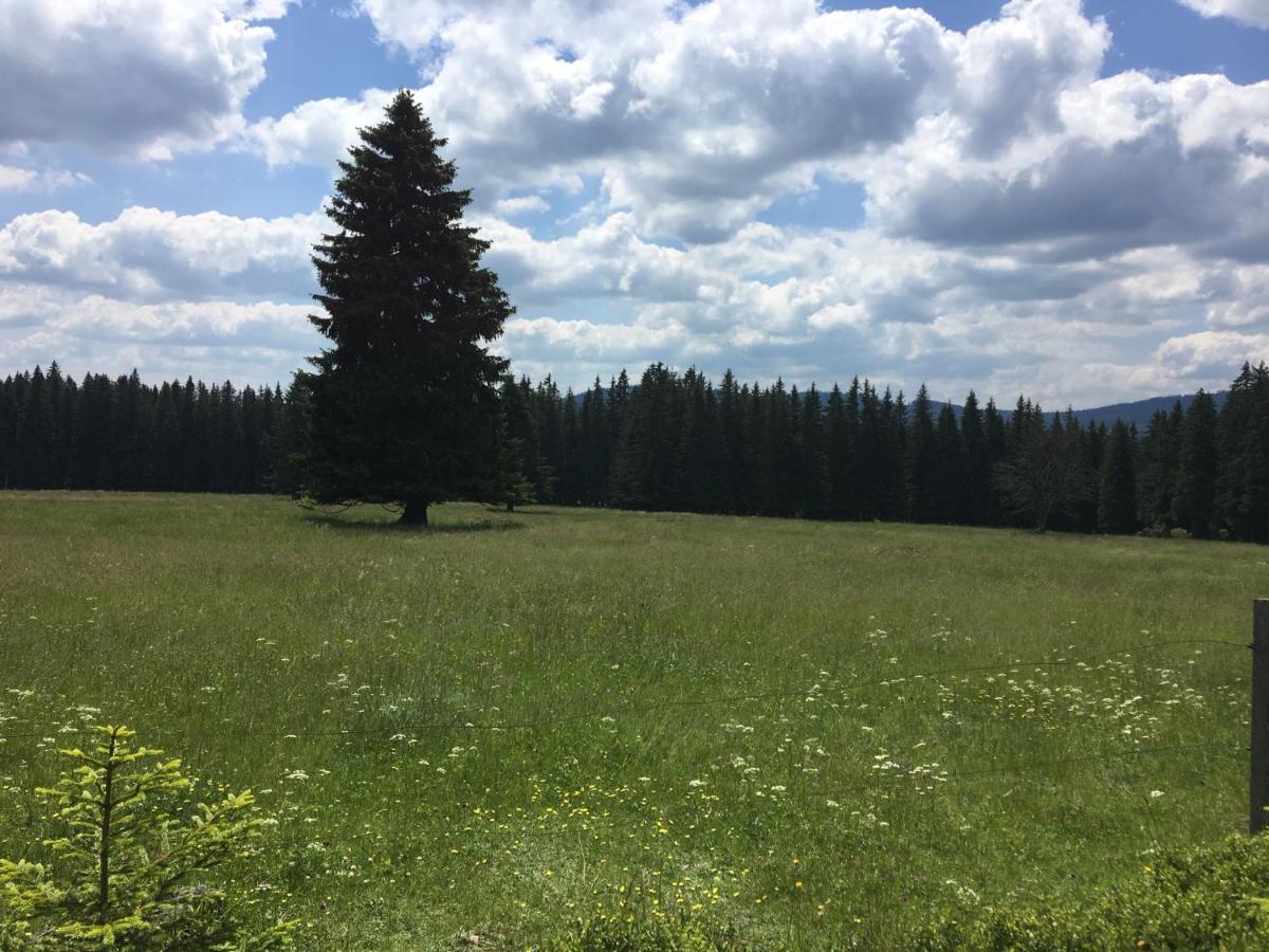 Apartman Kvilda 126 Buitenkant foto